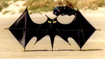Bat-Kite (4-Leiner)