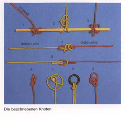 Knotenkunde